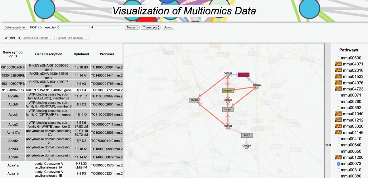 A Web-based Visual Analytics Application for Biological Networks