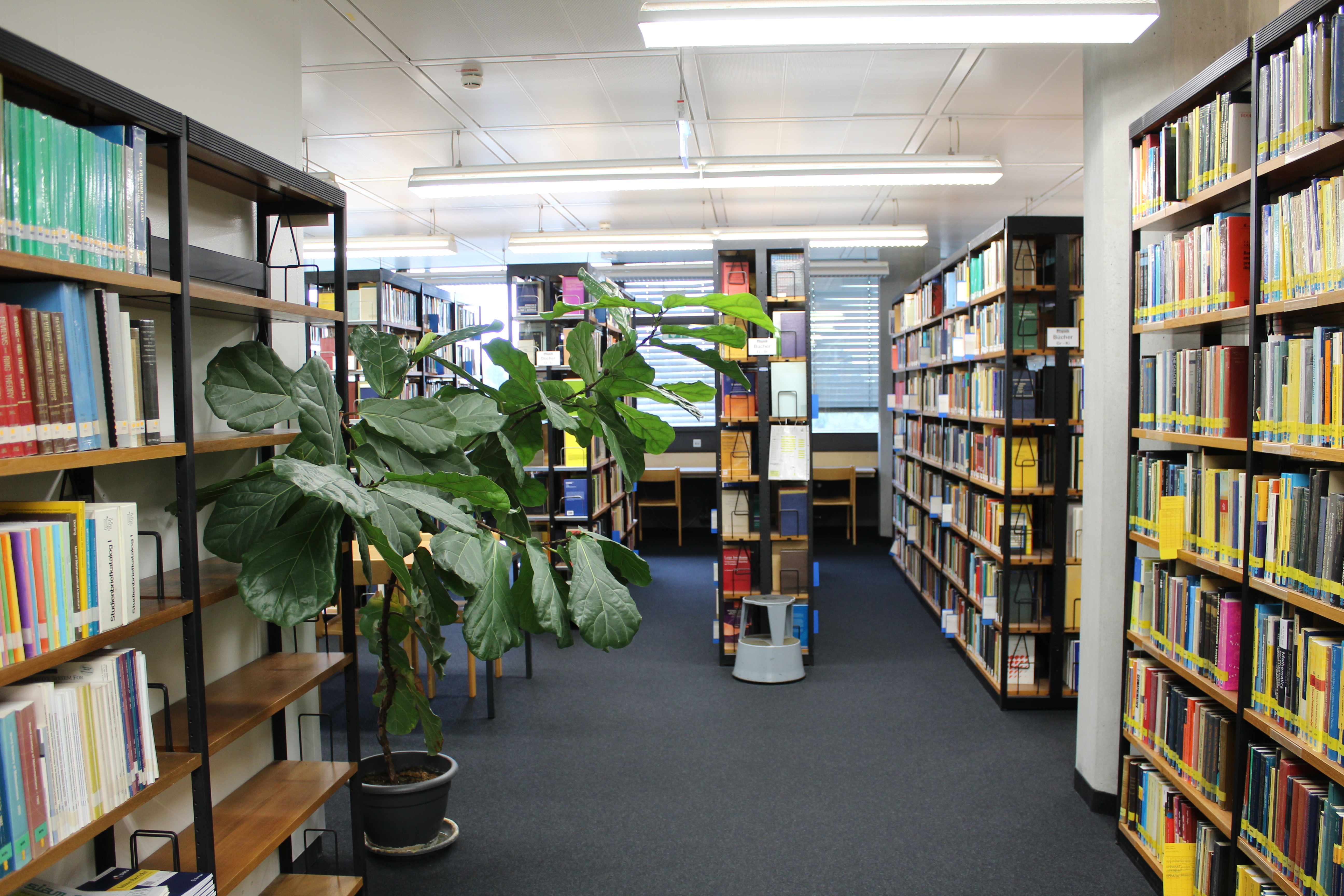 On the right are books from the mathematics collection, straight ahead are shelves with books from the physics collection.