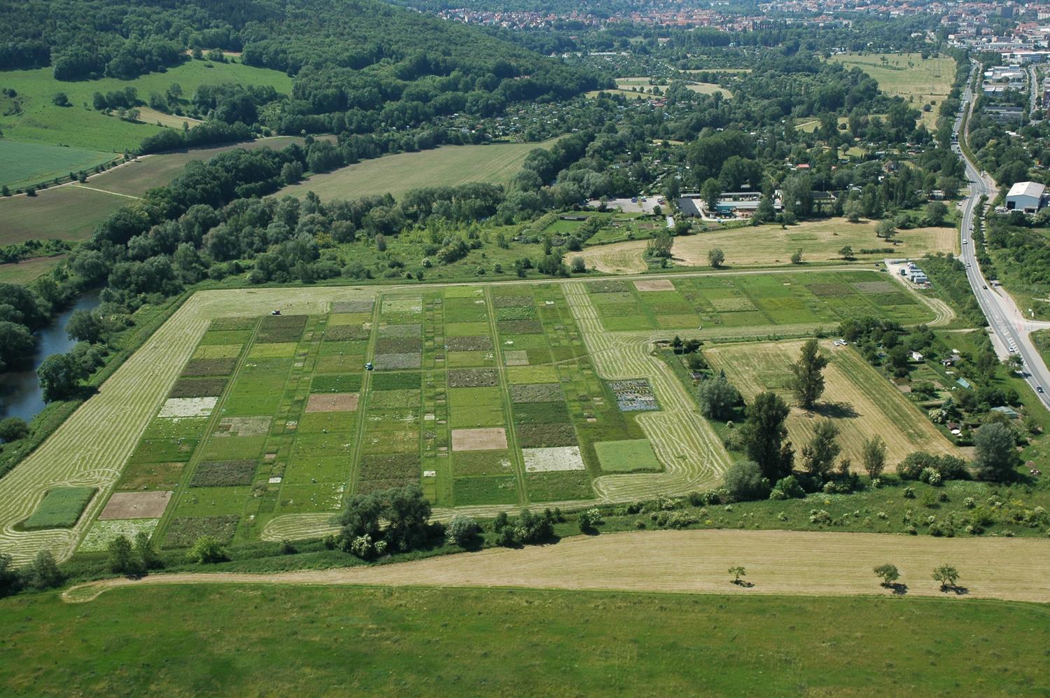 Blick von oben auf parzellierte Grünlandflächen, die experimentell untersucht werden