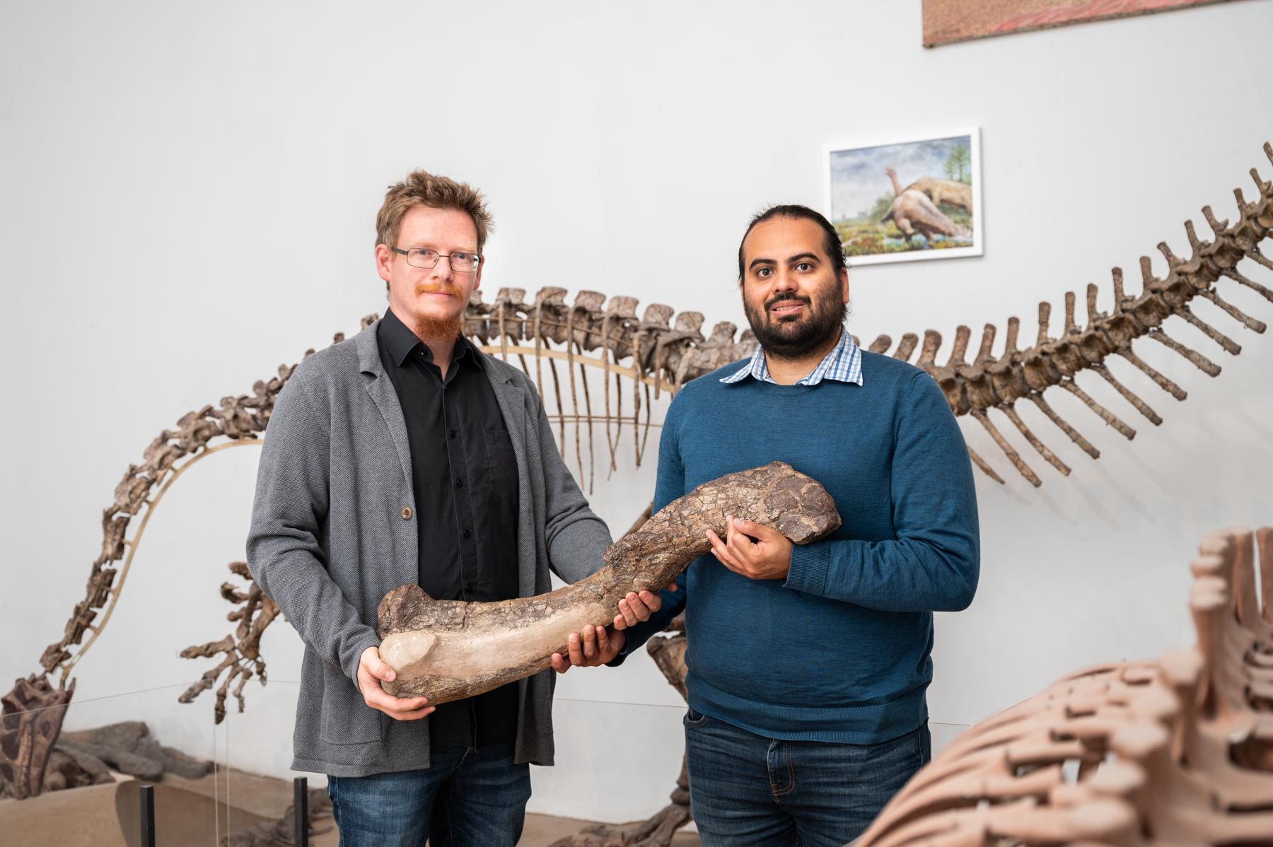 Two researchers stand in front of a dinosaur skeleton and hold a large bone