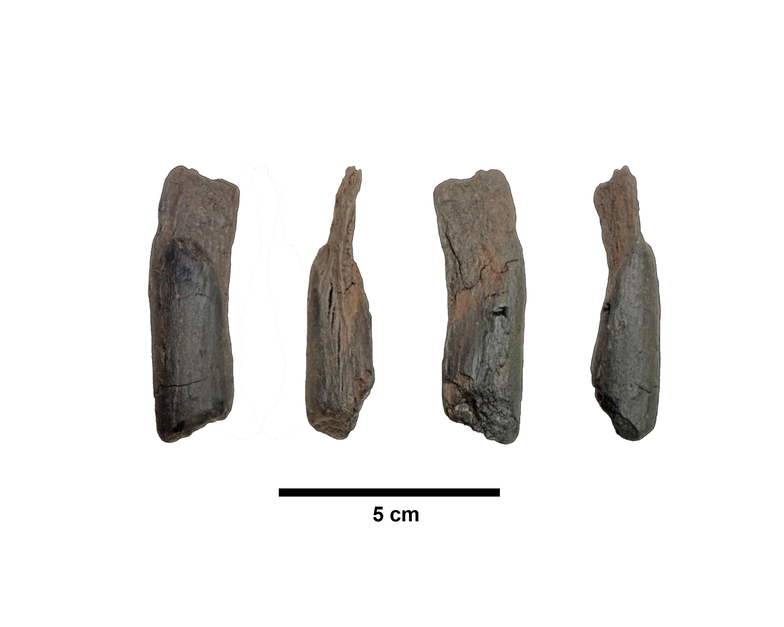 Small wooden tools.