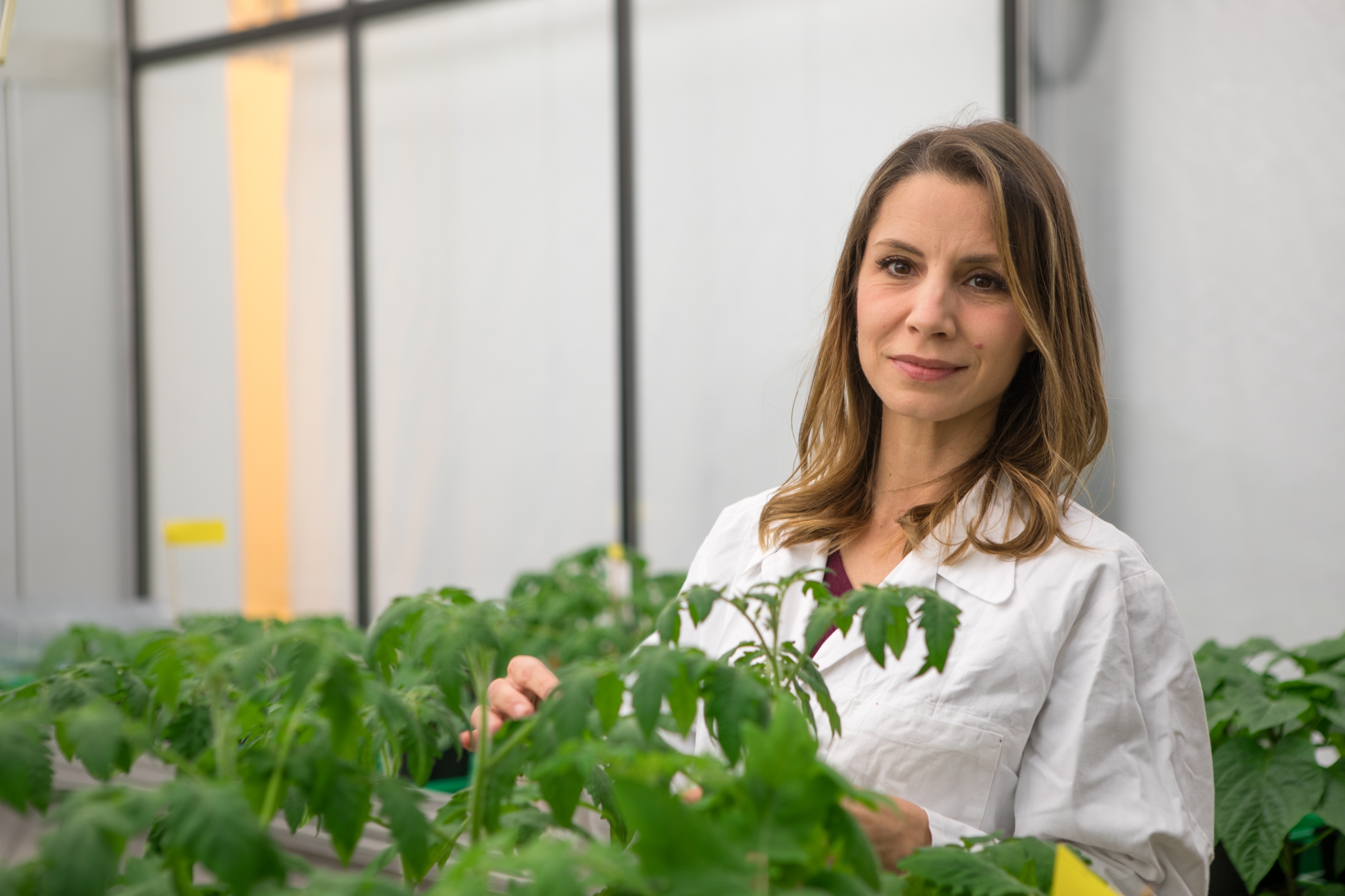 Professorin Rosa Lozano-Durán ist Co-Sprecherin des SFB-Transregio „Genetic diversity shaping biotic interactions of plants (PlantMicrobe)“