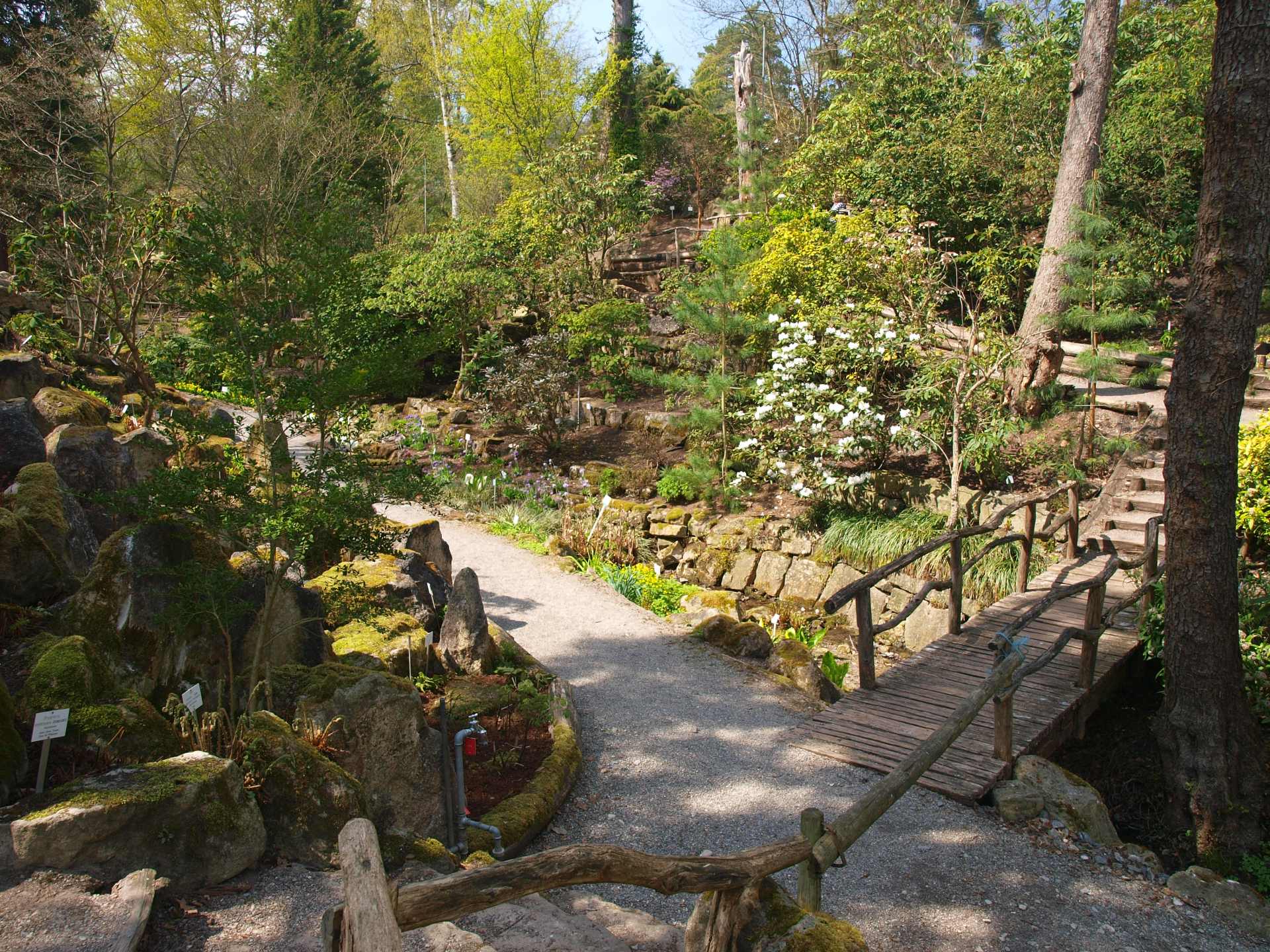 Botanischer Garten heute