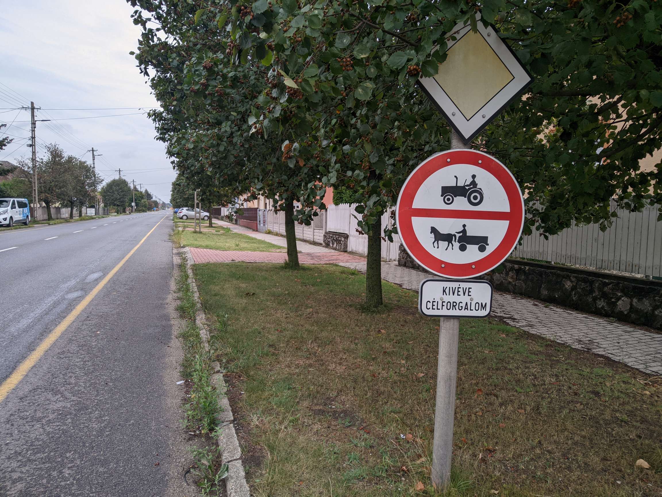Straße in Ungarn mit Verbotsschild für Kutschen und Traktoren