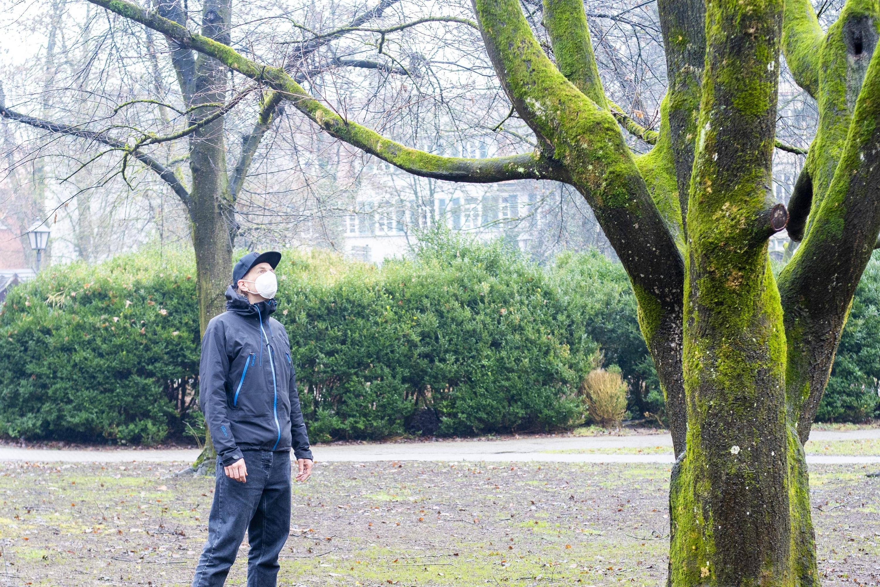 Maske tragender Mann steht im Park und schaut auf einen Baum.