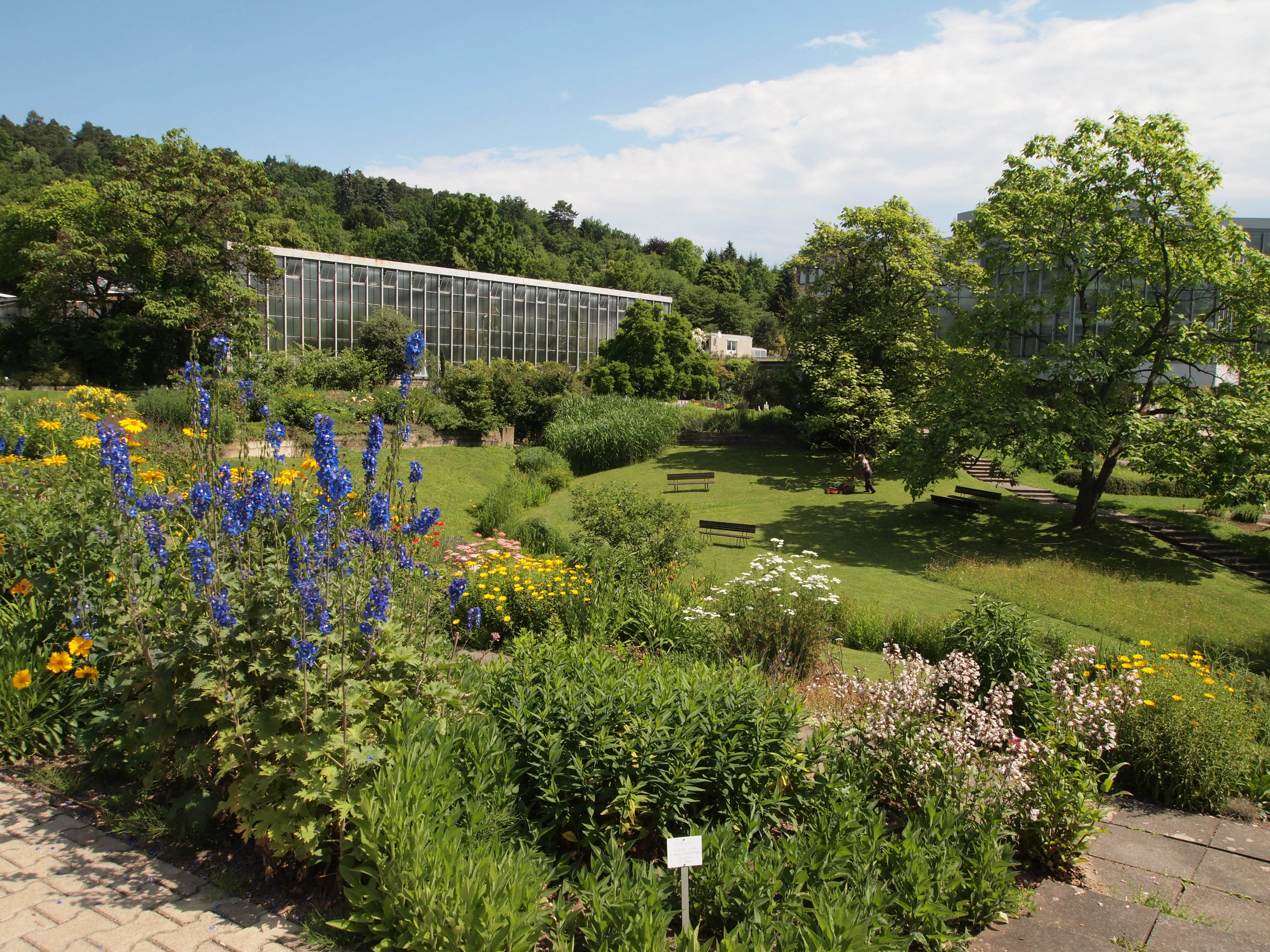 Willkommen Im Botanischen Garten Universitat Tubingen