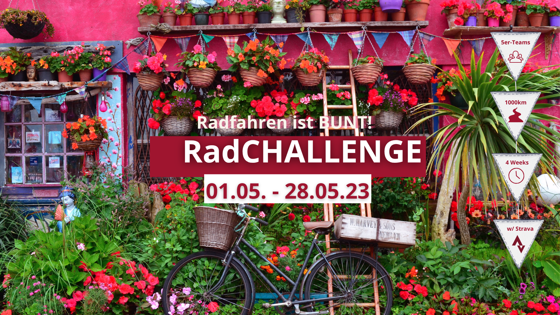 Bild von der RC 2023