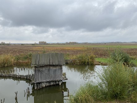 Pile dwelling looking out over the Federsee 
