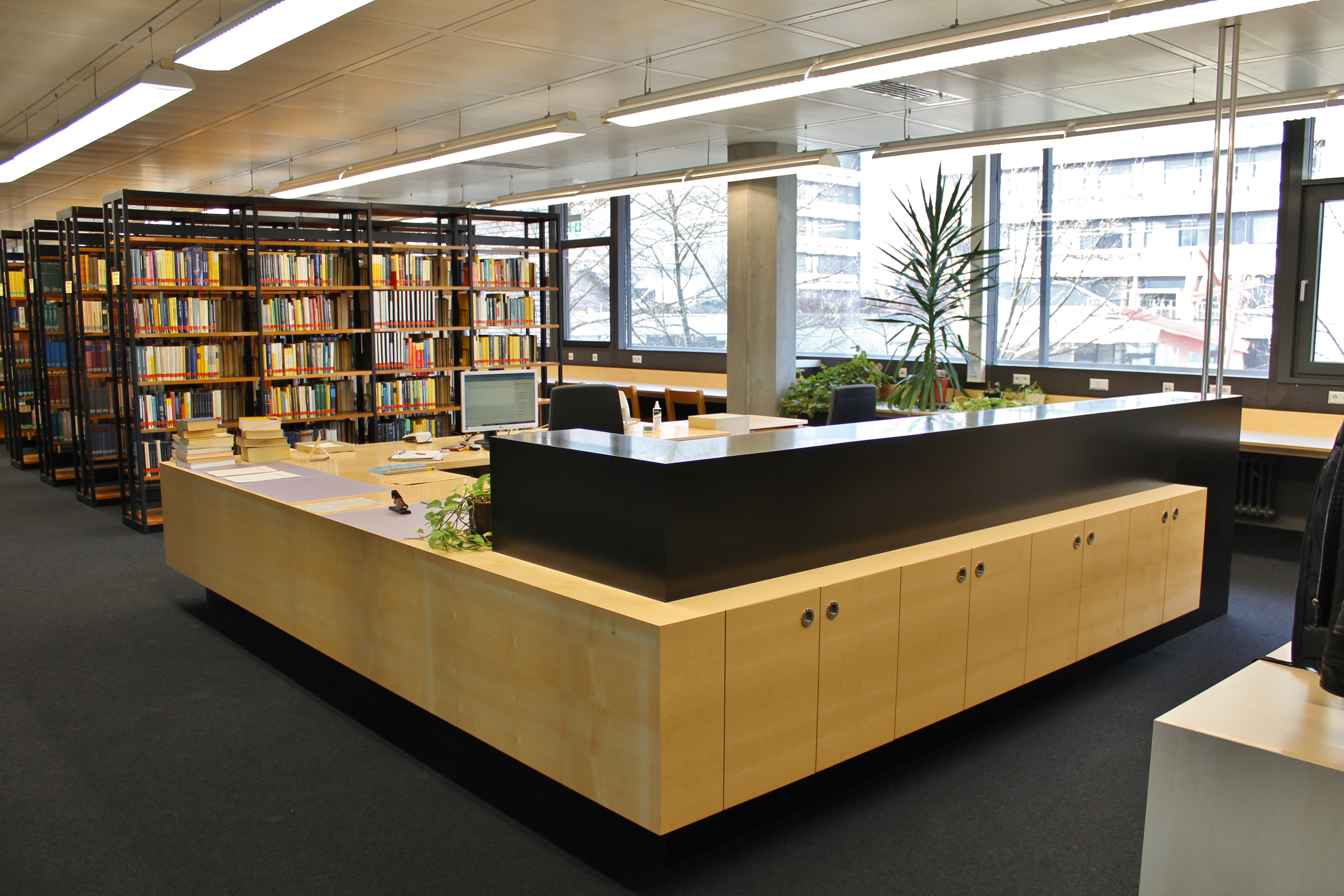 View of the check-out desk of the Mathematics and Physics Library