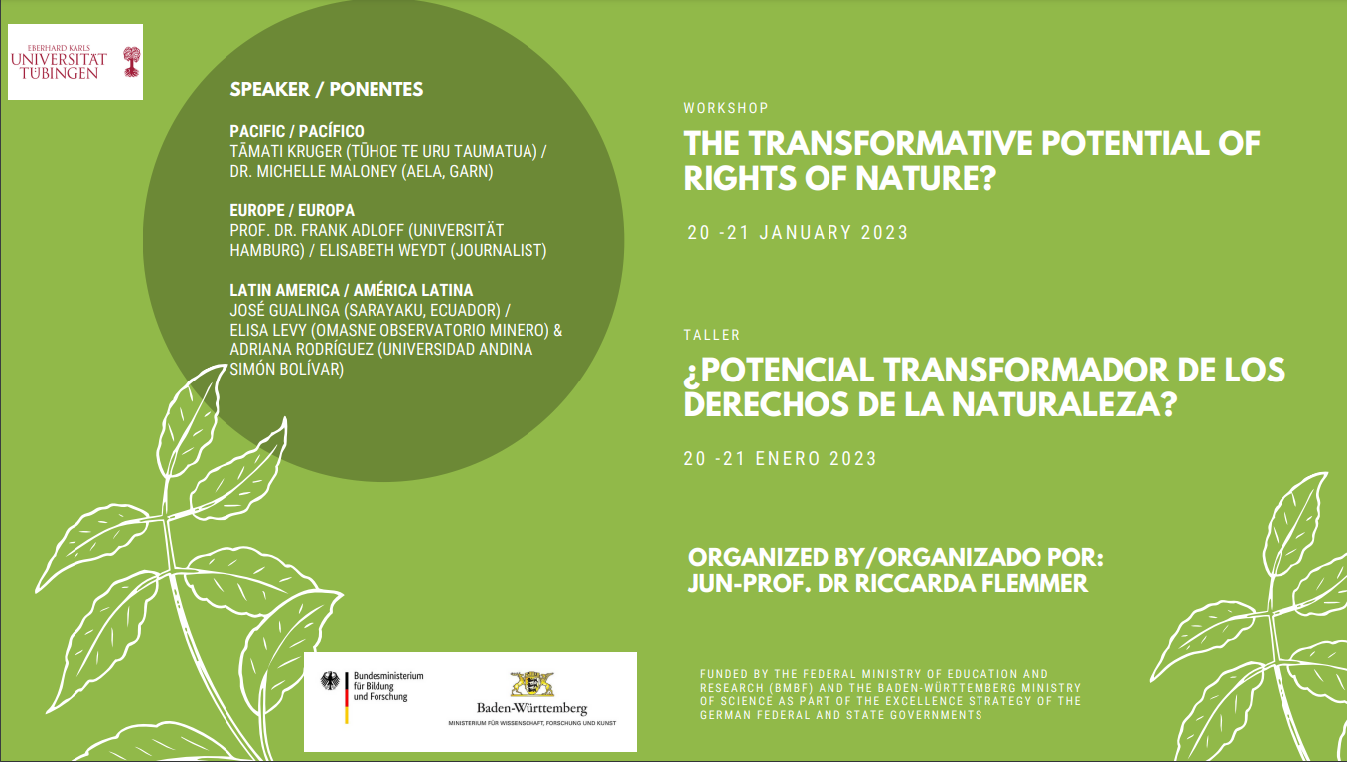 Junior-Professor Dr Riccarda Flemmer Institute of Political Science "Political Struggles in the Global South”