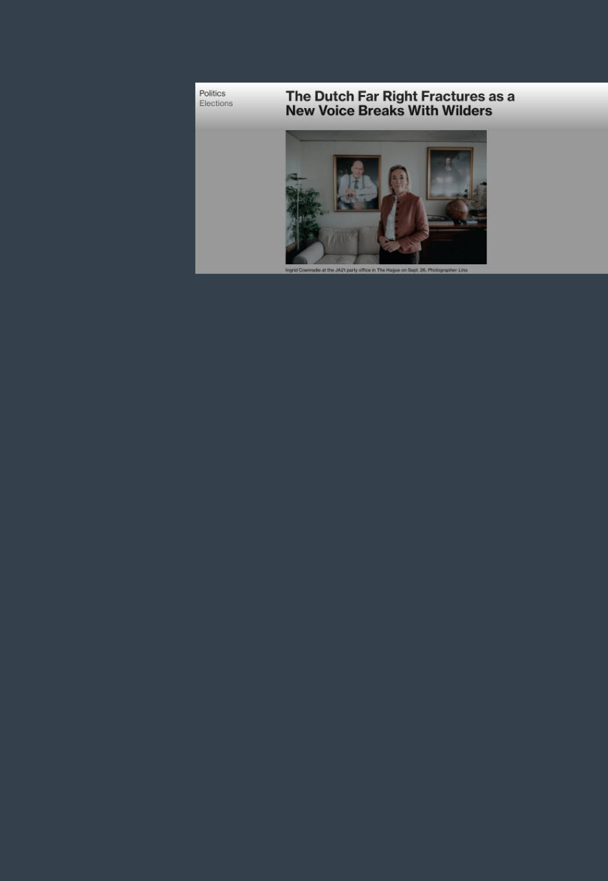 Das Bild zeigt die Preview des Artikels.