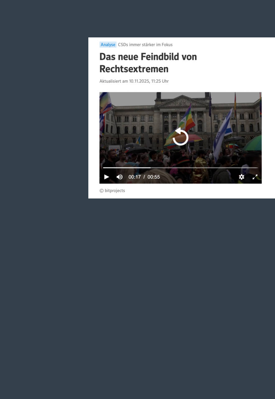 Das Bild zeigt die Preview des Artikels.