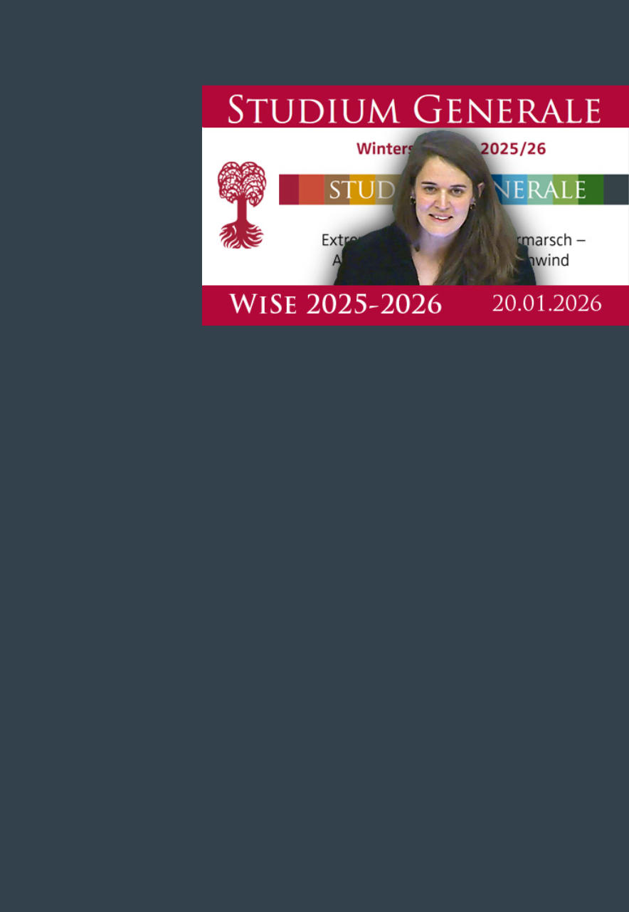 Die Grafik zeigt die Preview der Aufzeichnung.