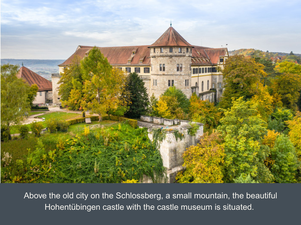 Tübingen's half-stone and half-timbered casle atop hill and stone in between green-leaved trees.