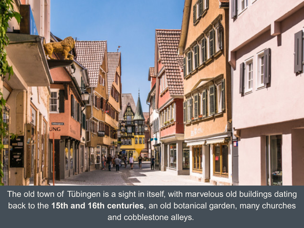 Old cobblestone street going between colorful and old German medieval houses in broad sunlight in Tübingen Old Town