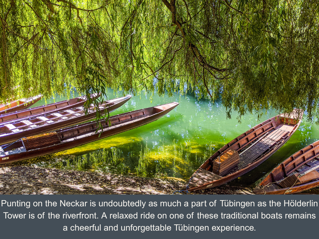 Several punting boats (so-called Stocherkahn) on the river shore under a willow tree with the sun shining in