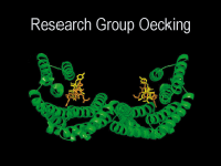Research Group Oecking