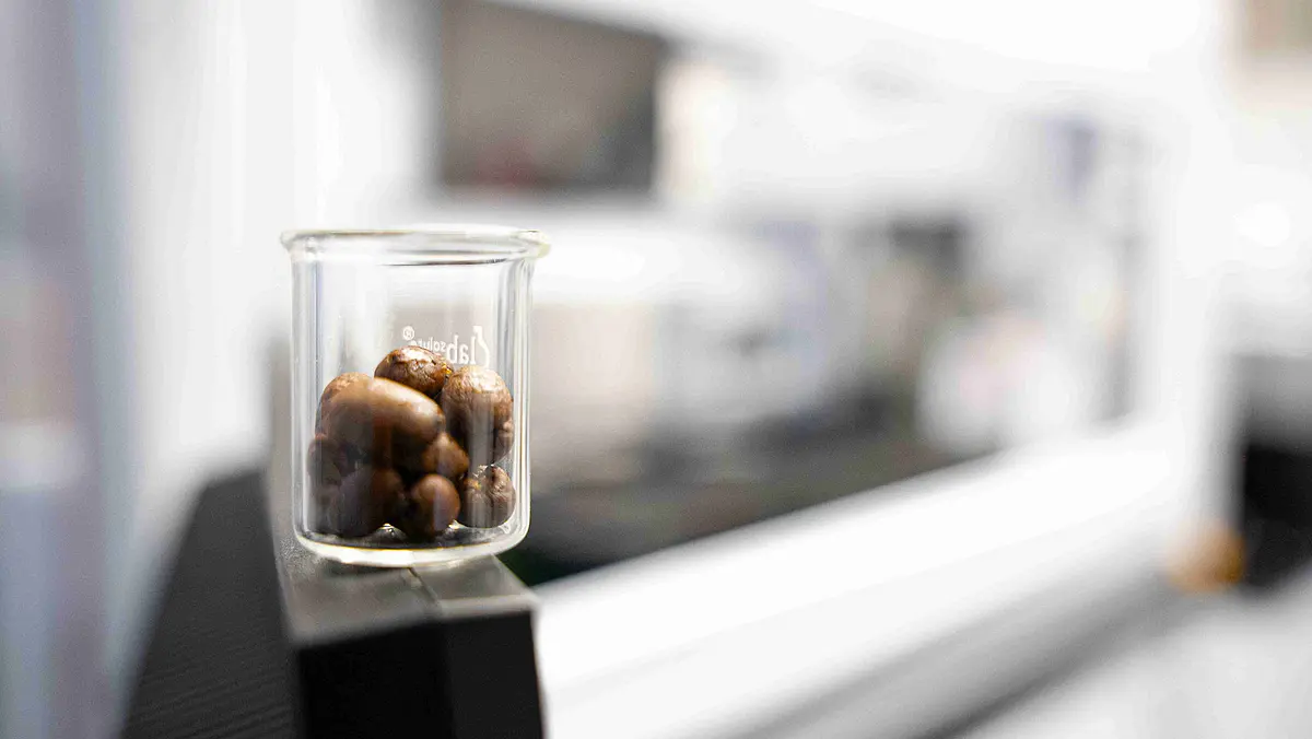  Kaffeebohnen vor dem Pipettierroboter