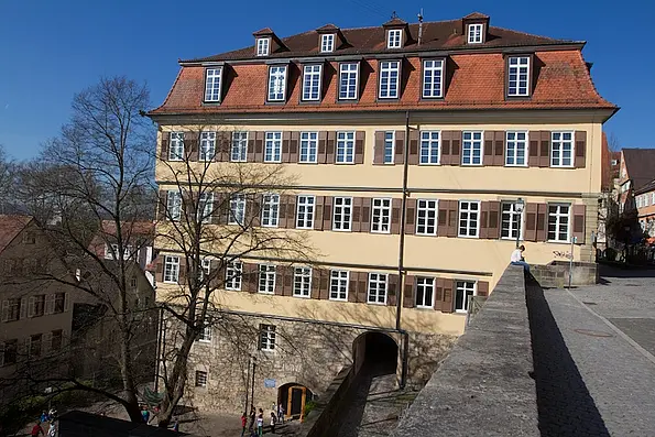Im Sommer beliebt in der Mittagspause: Die Mauer im Hinterhof der Stiftskirche.