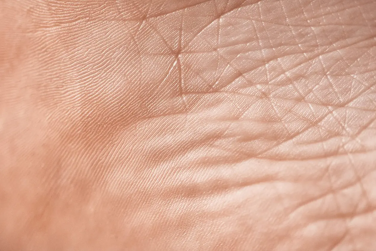 Full frame of skin textur