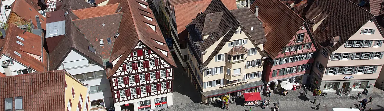 This picture shows the old town from a bird's perspective