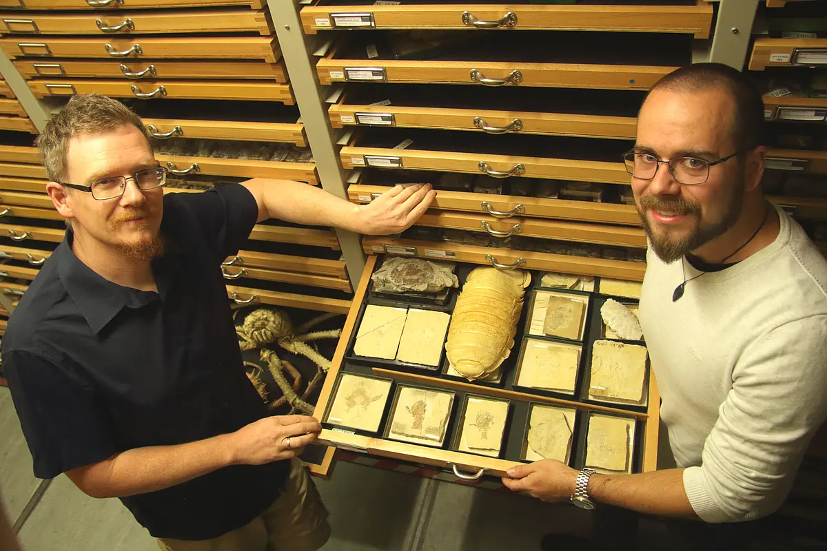 Researcher Ingmar Werneburg (left) and Benedikt K&auml;stle in the T&uuml;bingen Palaeontological Collection archive.