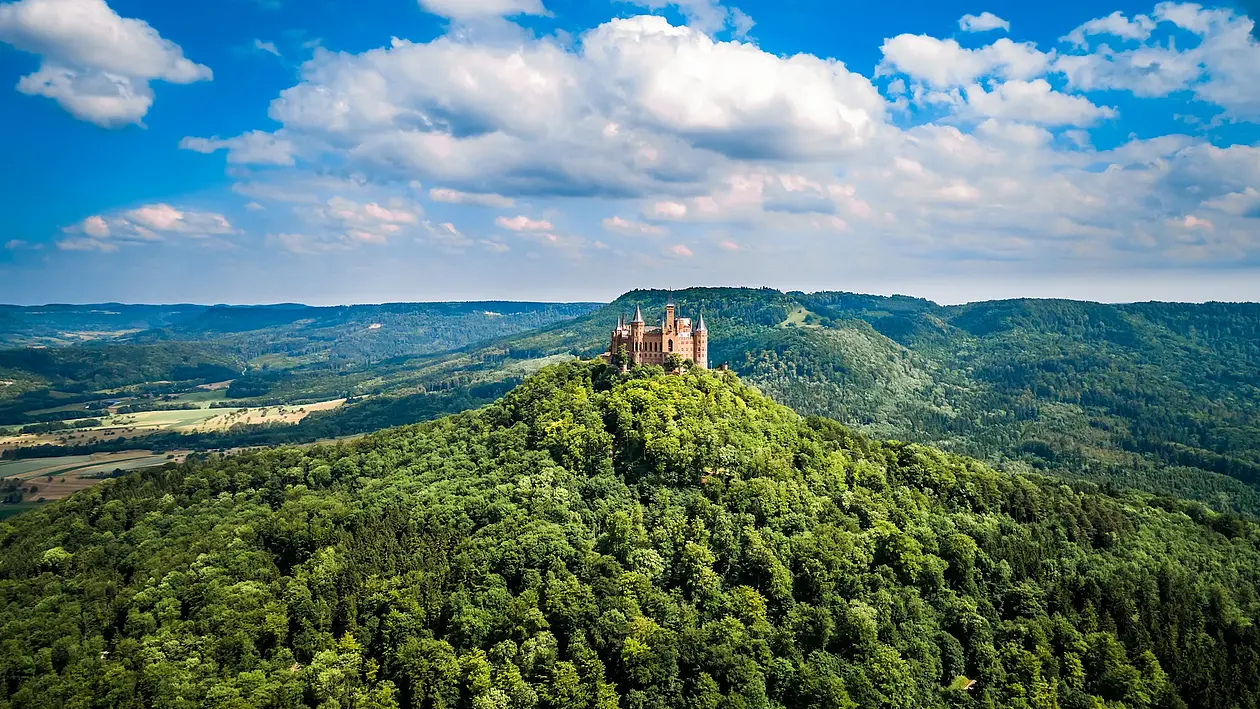 Burg auf Hügel mit Wald