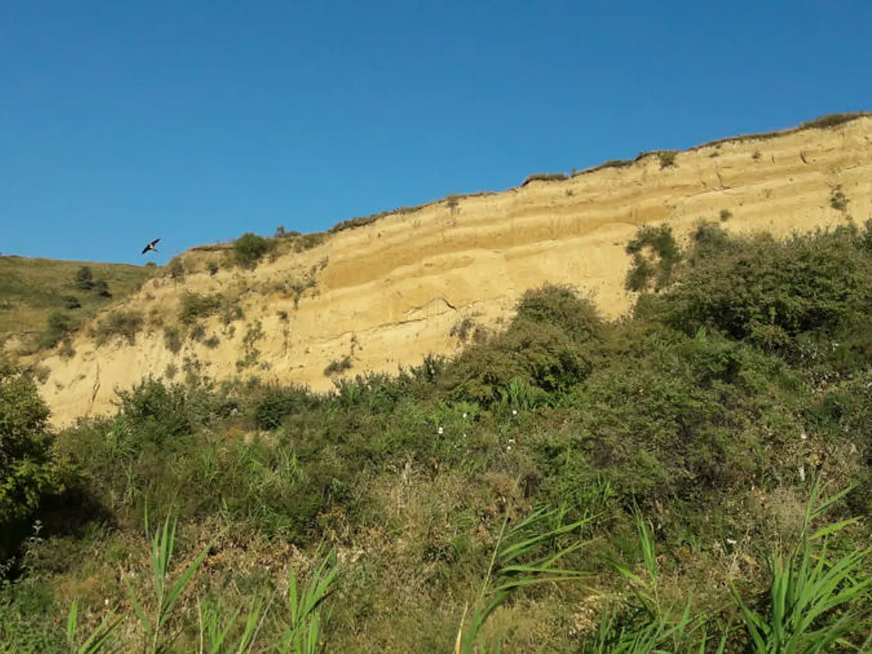 Staubablagerungen, sogenannter Löss, in einem Bodenprofil in Karamaidan, Tadschikistan. Die alternierend helleren und dunkleren Bänder in den Ablagerungen entsprechen trockeneren beziehungsweisen feuchteren Bedingungen, während der Boden wuchs.