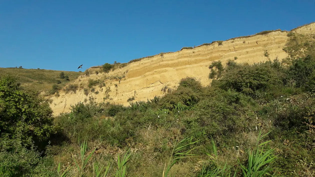 Dust deposits, or loess, in a soil profile in Karamaidan, Tajikistan. The alternating lighter and darker bands in the deposits correspond to drier and wetter conditions, respectively, as the layers were deposited.