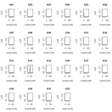 Homozygosity mapping results by performing an autosomal linkage scan 