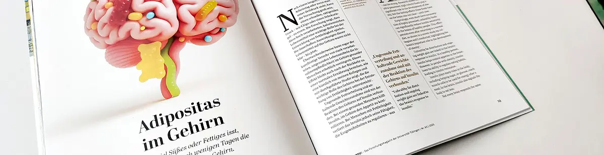 Eine aufgeschlagenes Magazin auf einem Tisch, das einen Artikel zeigt.