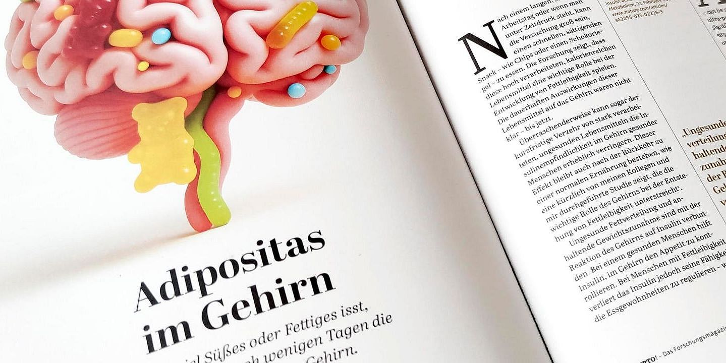 Pressemitteilungen