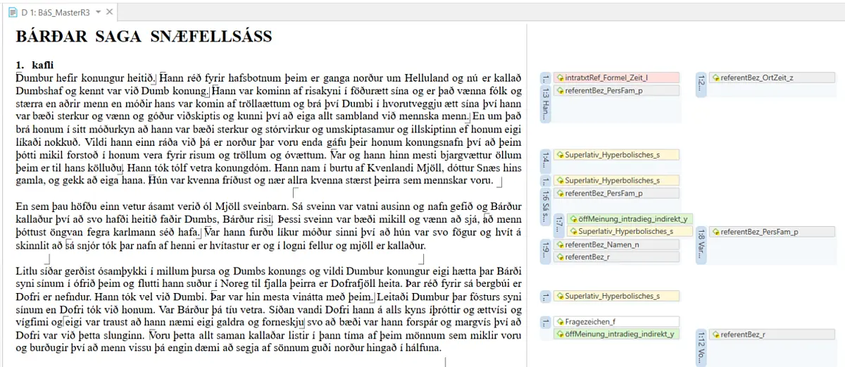 Screenshot aus der Annotationssoftware; Bildrechte bei AKH