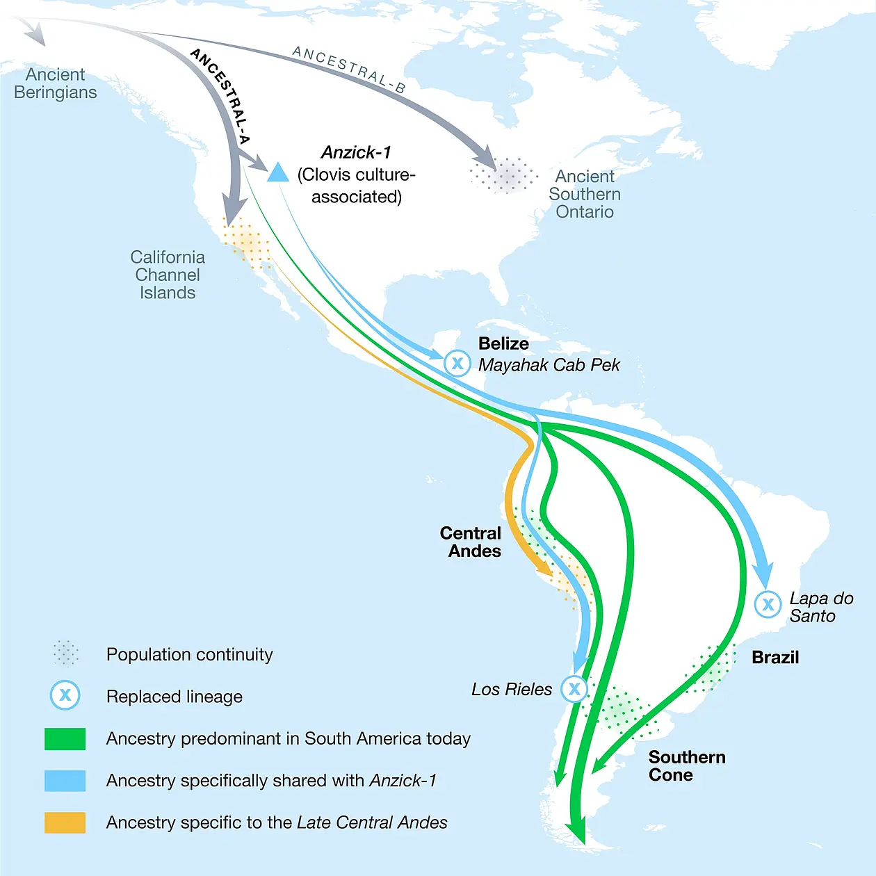 Movements and mixtures of ancient humans documented in this study.