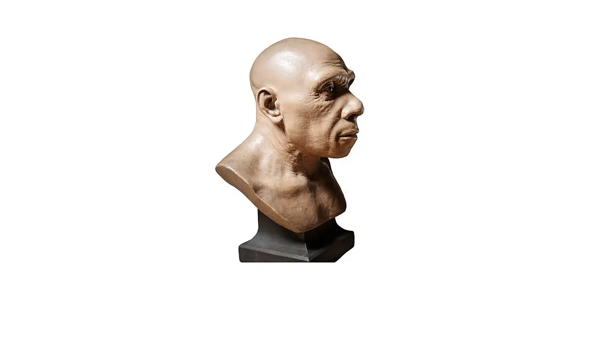 Modell eines Neandertalers