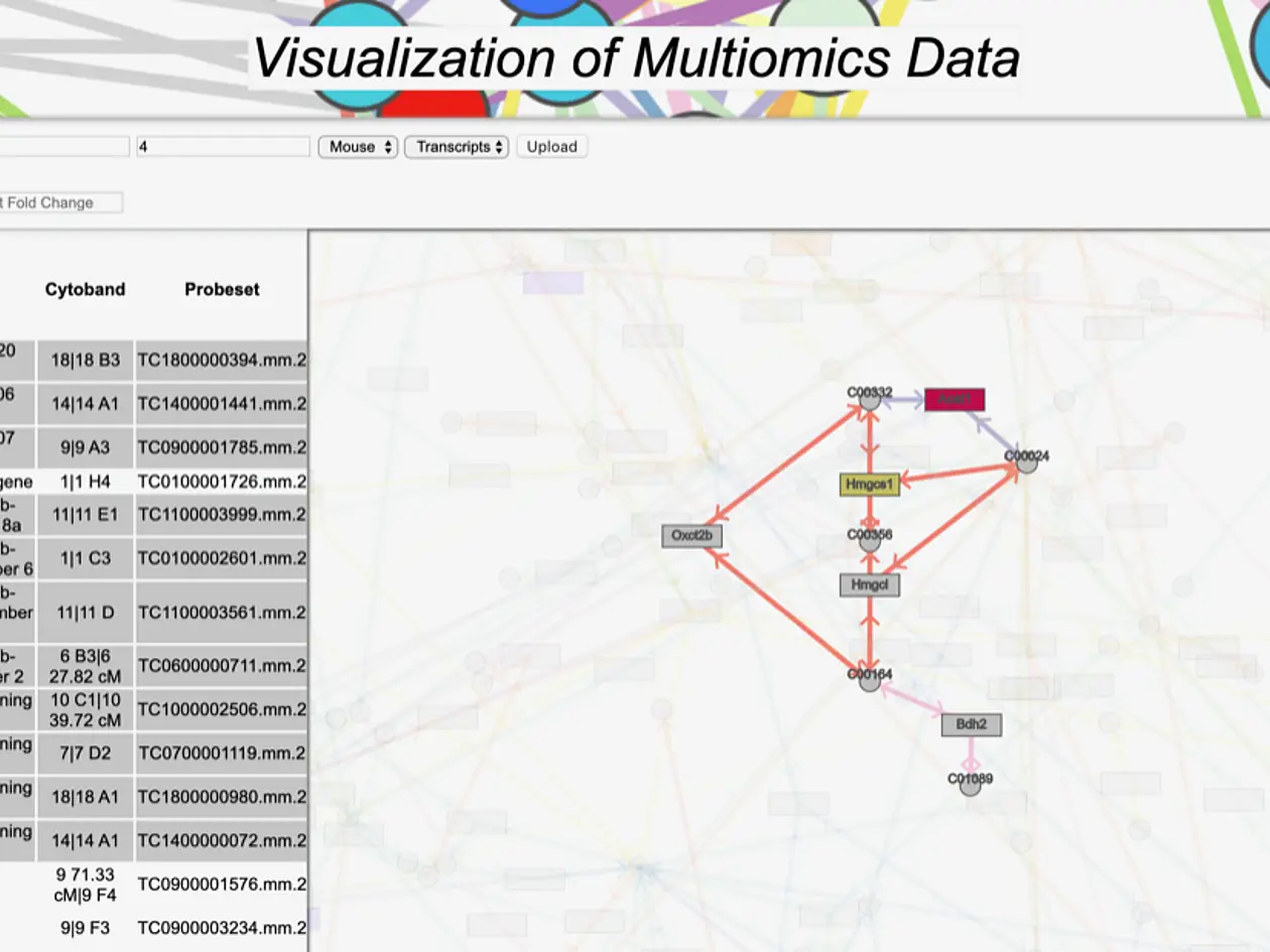 Eine webbasierte Anwendung zur visuellen Analyse biologischer Netzwerke