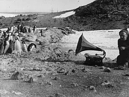 Ein Mitglied der Besatzung unterhält eine Kolonie Adeliepinguine mit Musik.