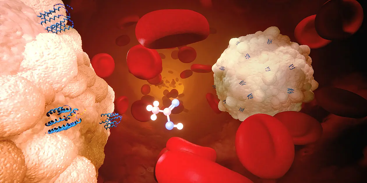 Illustration of a white blood cell, microscopically magnified