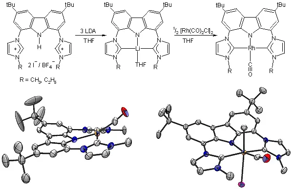 Synthese des Rh(bimca)(CO)-Komplexes und Kristallstrukturen von Rh(bimca)(CO) und Rh(bimca)(CH3)I(CO).