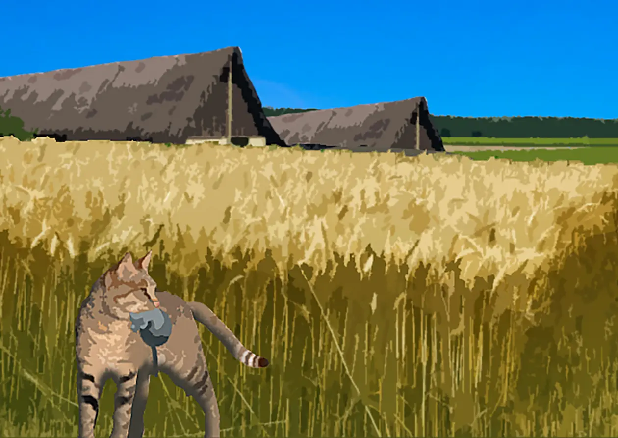 Although cats did not rely on humans, they added agricultural nuisance animals to their diet. 