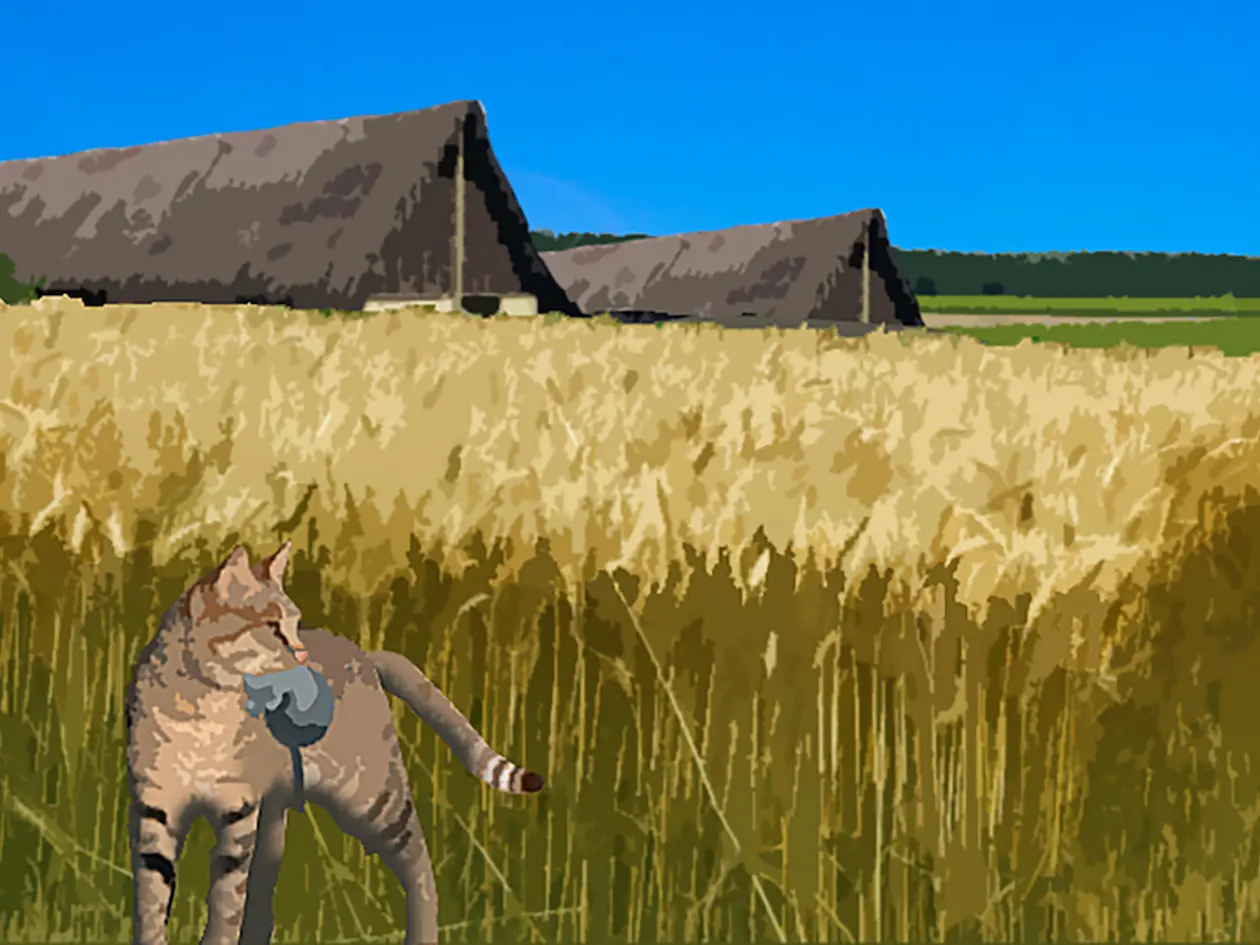 Auch wenn sich die Katzen nicht vom Menschen abhängig machten, fügten sie landwirtschaftliche Schadtiere zu ihrem Speiseplan hinzu.