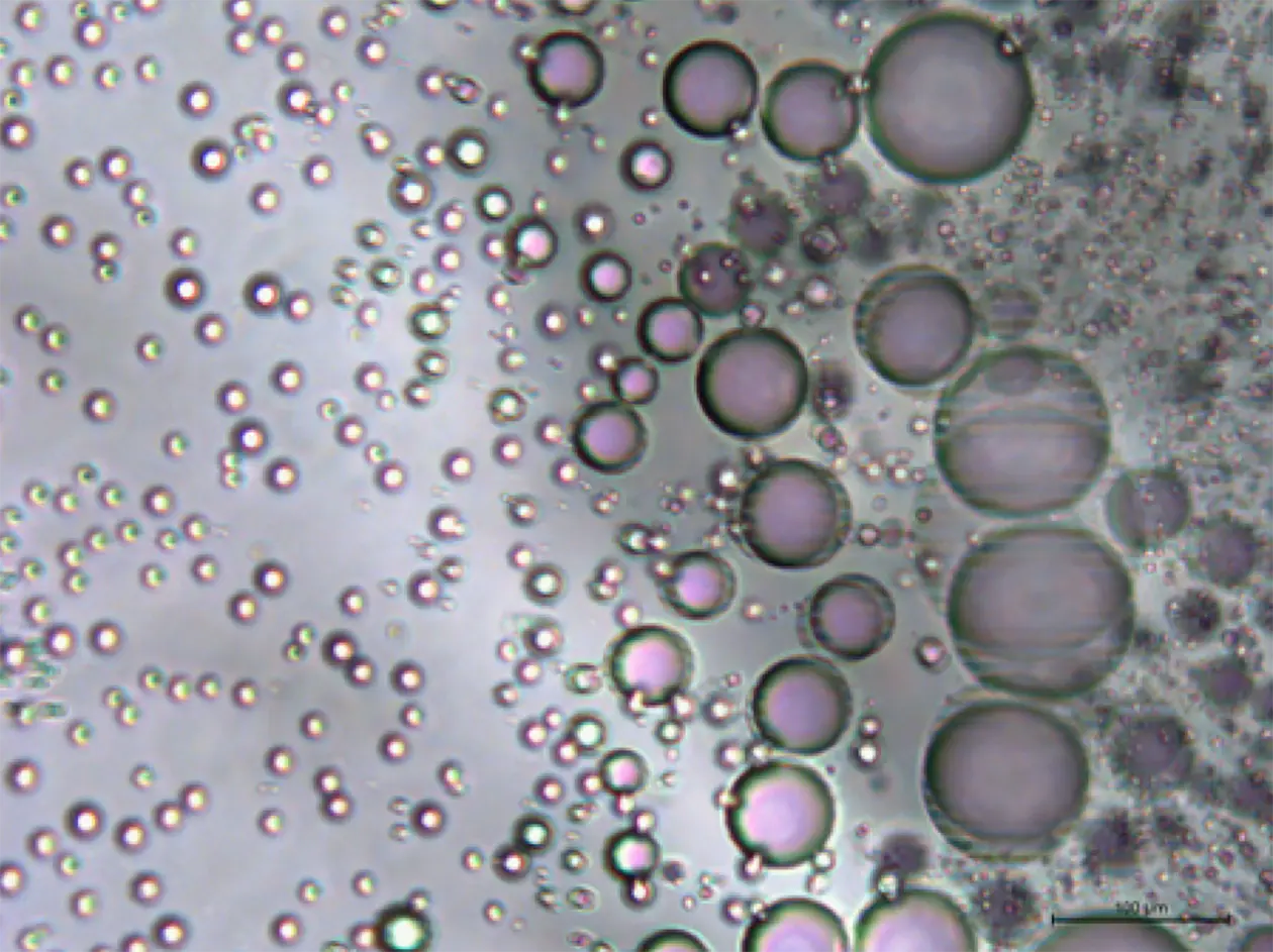 2,2 Thiodiethanol modifiziertes Cyanophycin. Das Produkt bildet bei Raumtemperatur ein geleeartiges Material, das vollständig hydrophob ist und in Wasser Emulsionen bildet. Seine klebrigen, fettigen und gelierenden Eigenschaften machen es zu einem Kandidaten für neue Schmierstoffe. 