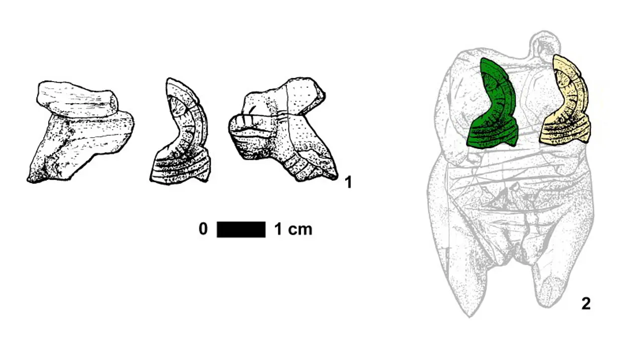 1) Verziertes figürliches Fragment aus dem Hohle Fels. 2) Anhand der „Venus vom Hohle Fels“ zeigt die Abbildung, an welche beiden Stellen einer ähnlichen Figur das Fragment passen könnte. Abbildung: M. Malina/Universität Tübingen