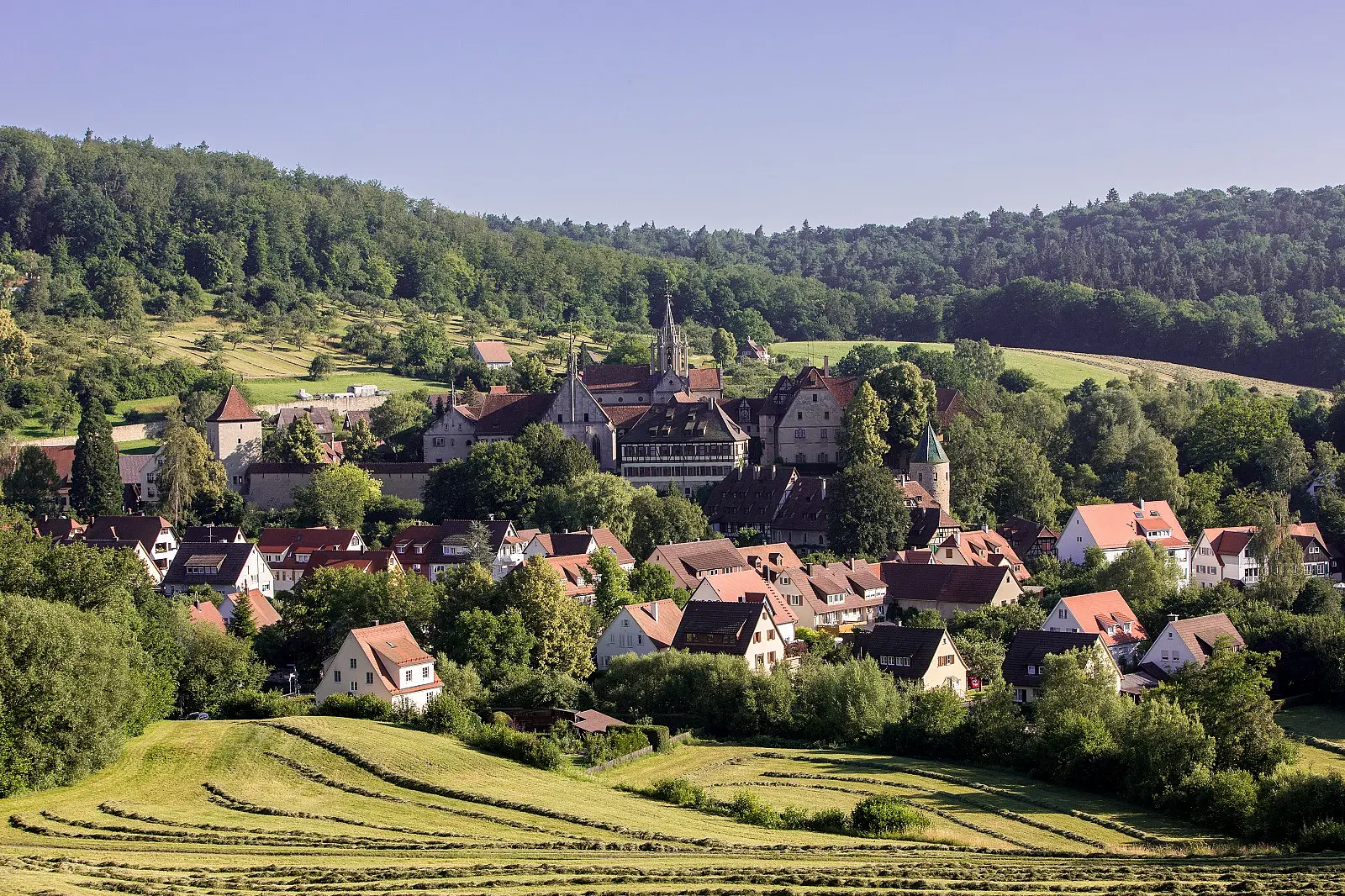 Bebenhausen und das Kloster Bebenhausen im Vordergrund, im Hintergrund Wiesen und Wälder.