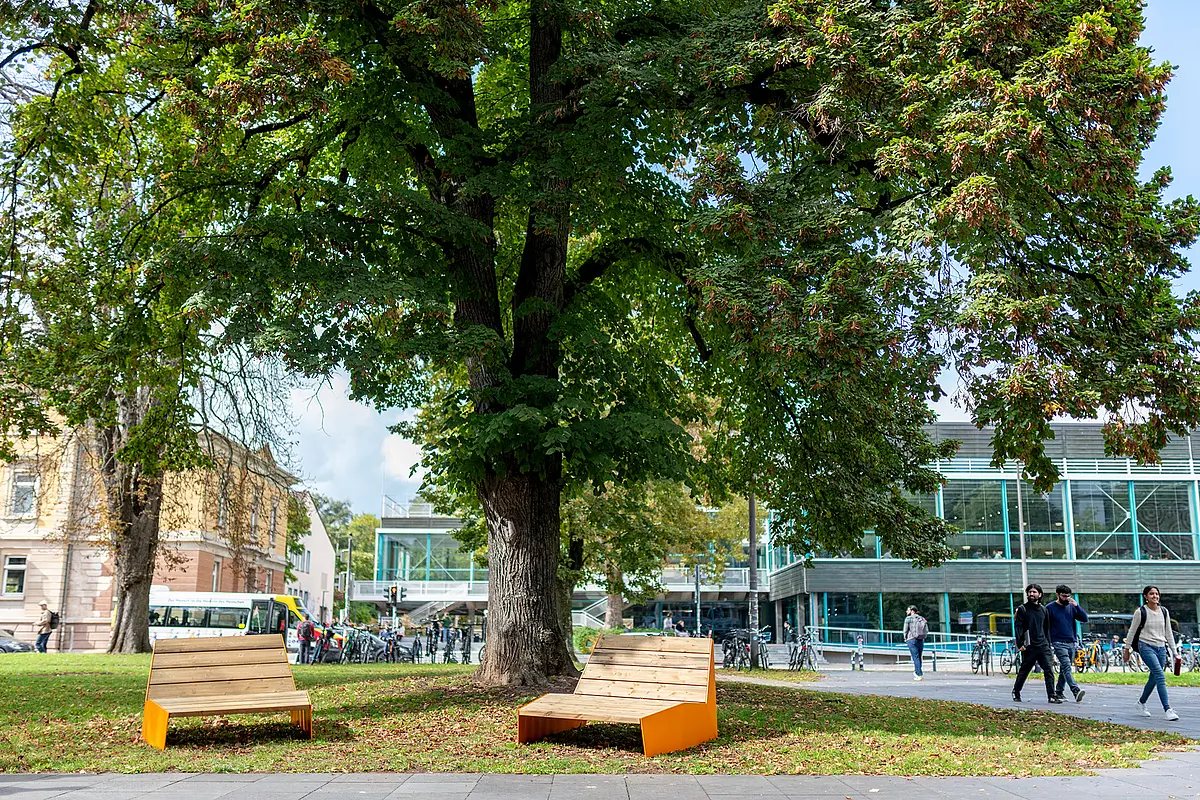 Zwei Outdoormöbel stehen unter der Kastanie vor der Universitätsbibliothek
