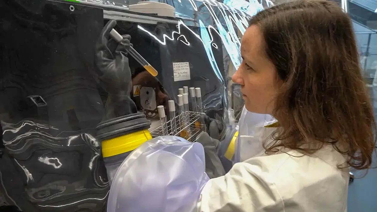 In the anaerobic chamber, Lisa Maier investigates intestinal bacteria that are only viable in the absence of oxygen and have therefore been difficult to research until now.