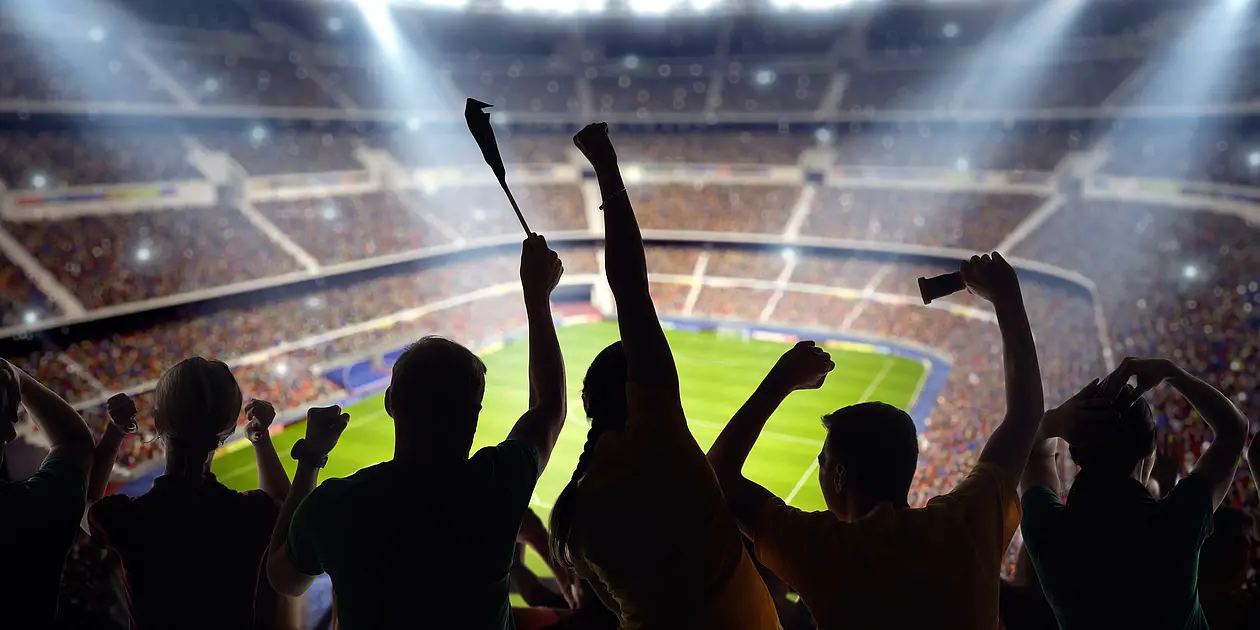 Sportökonomik, Sportmanagement und Sportpublizistik