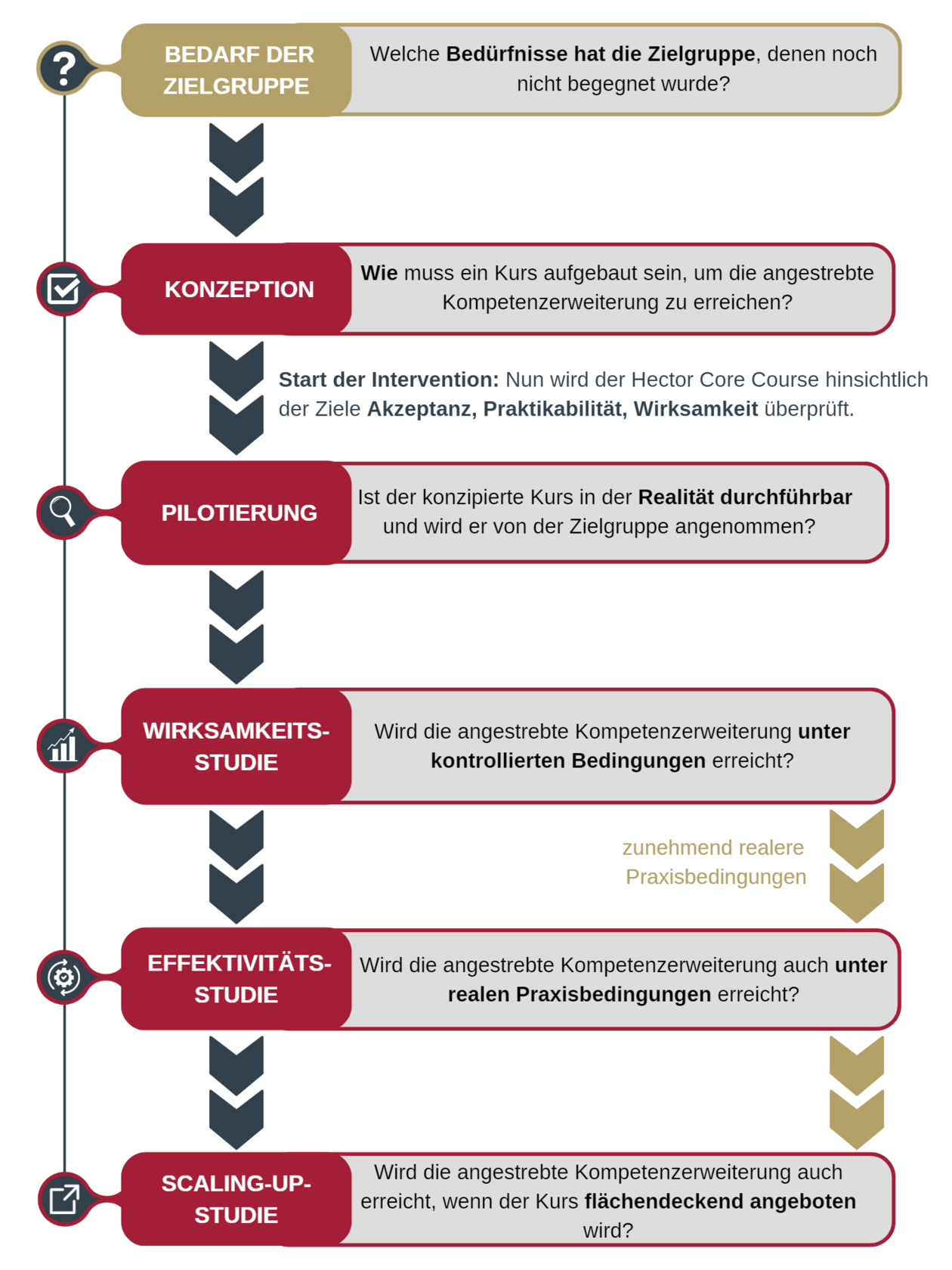 Studien der Hector Core Courses Universität Tübingen