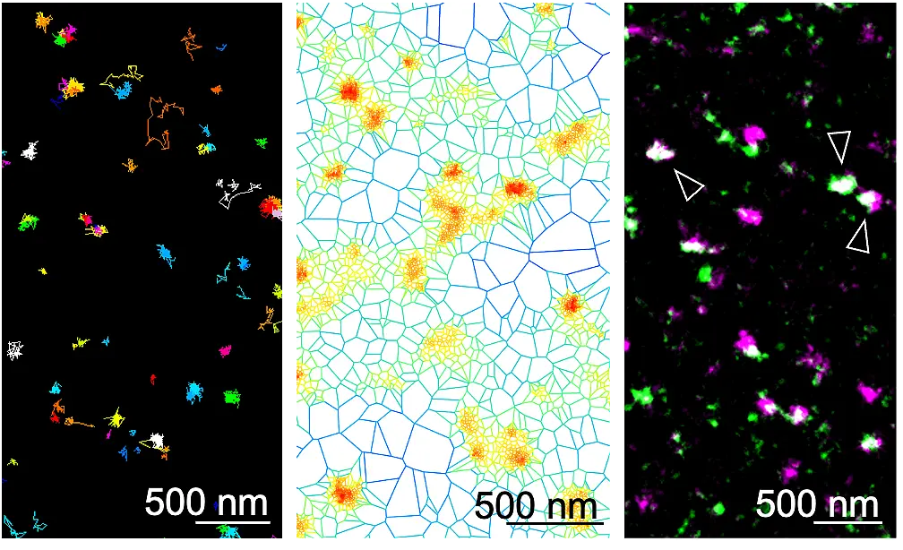 NanoSignaling Lab Julien Gronnier