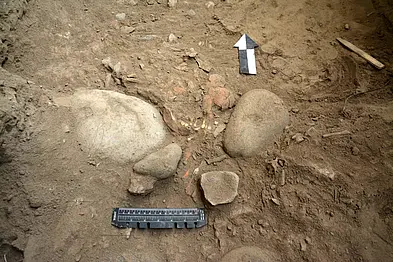 Fragments of skull uncovered in a grave between stones